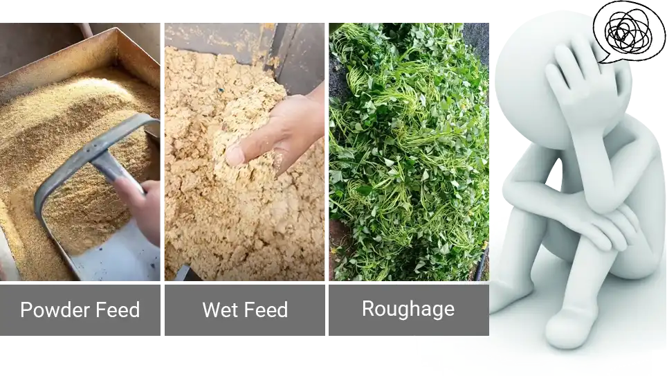 common feed types compared
