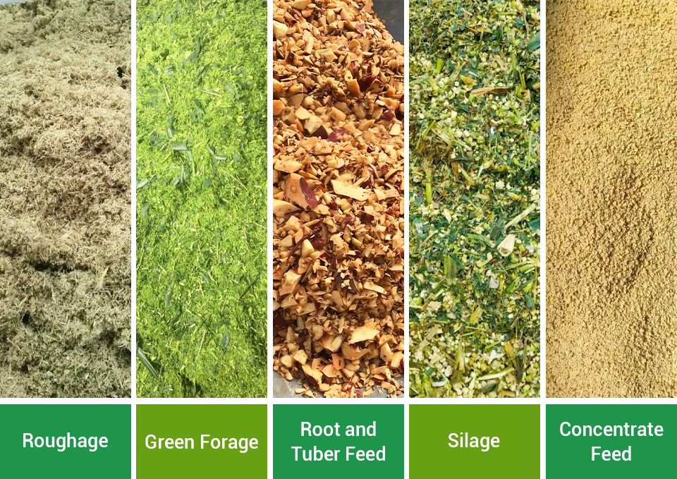 common types of meat goat feed