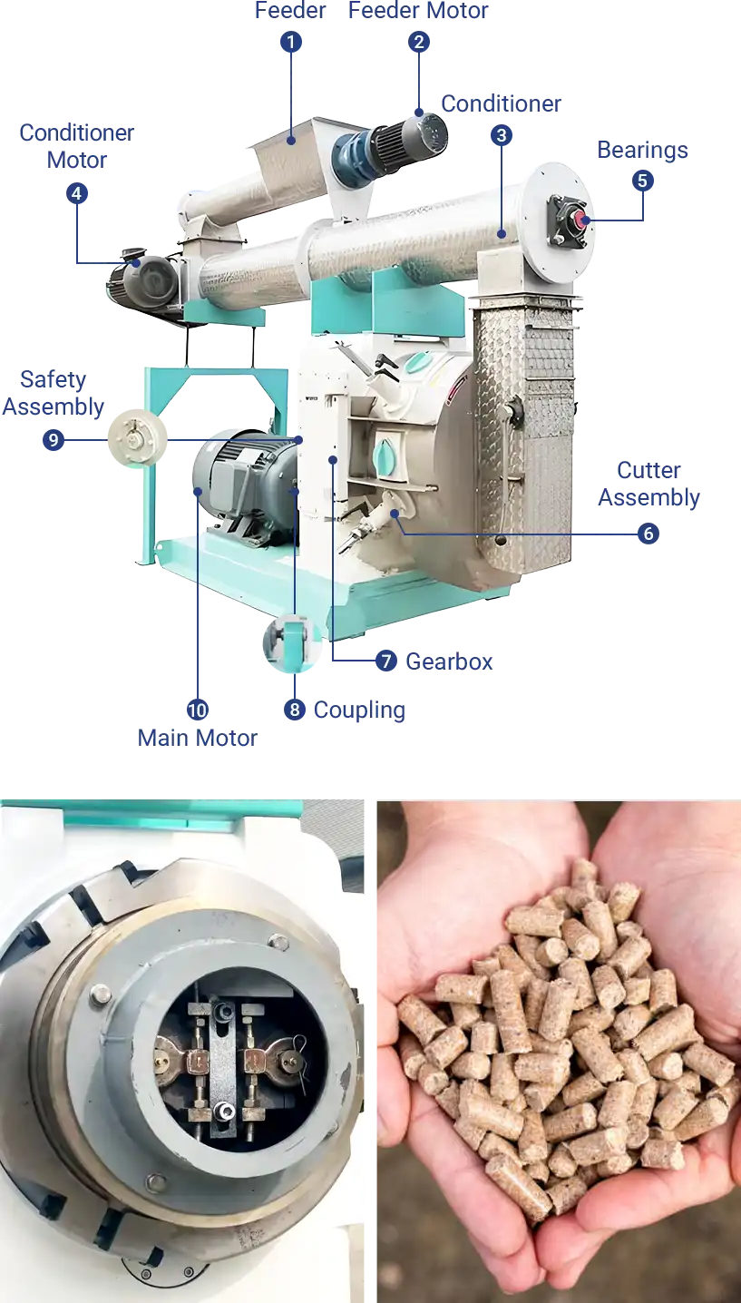 composition of ring die feed pellet machine