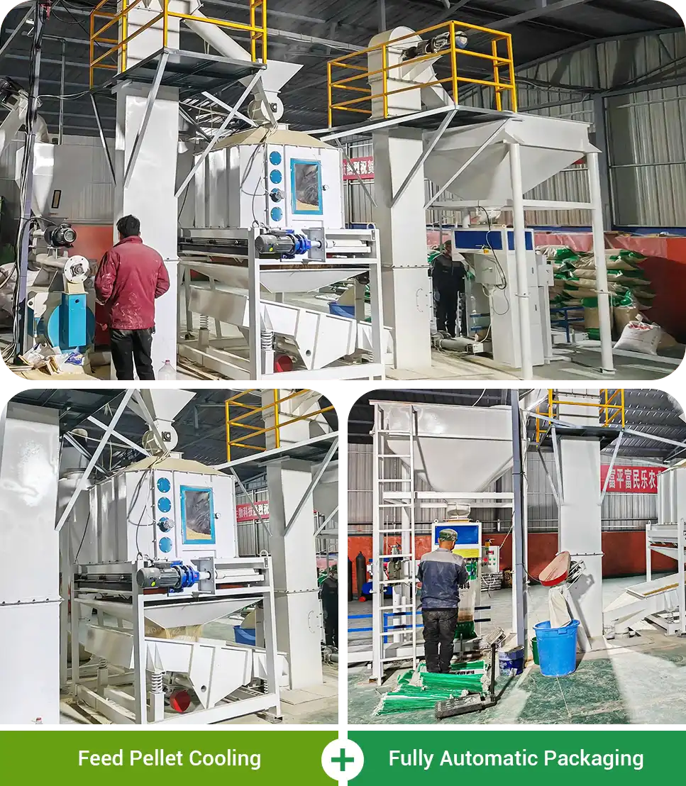 cooling and packing system