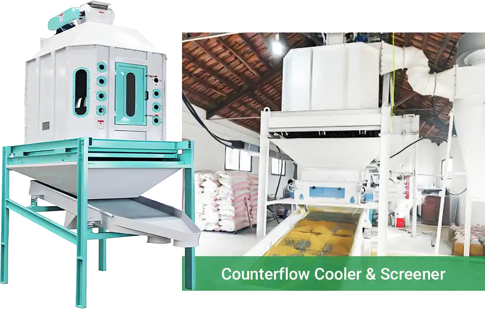 cooling and screening corn feed pellets