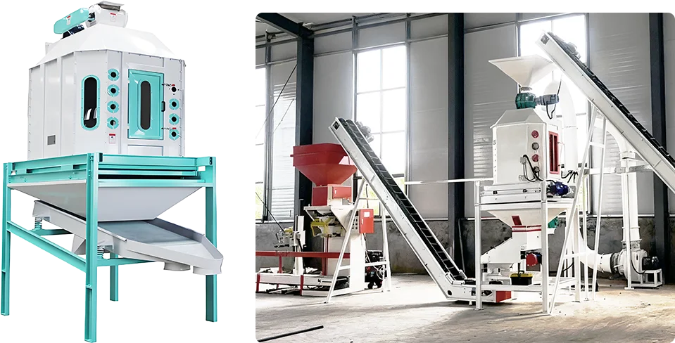 cooling and screening machine