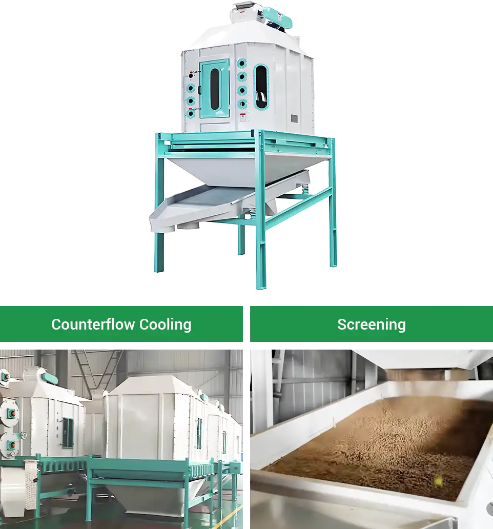 cooling and screening pellets