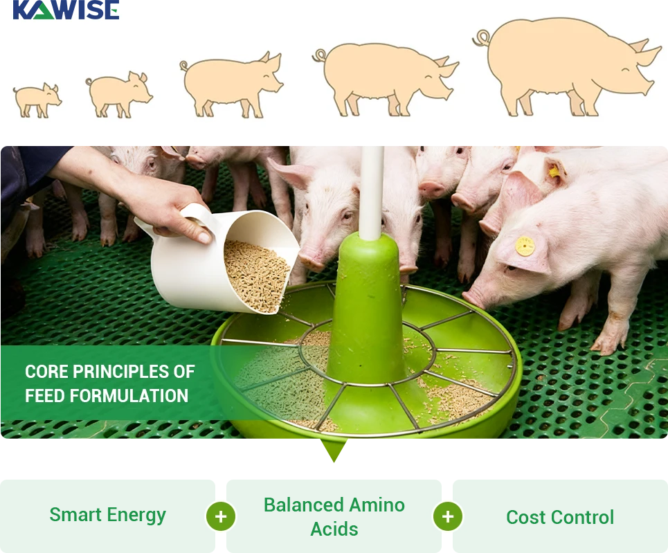 core principle of feed formulation