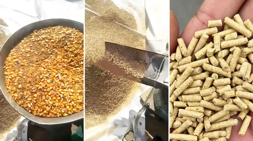 Corn feed pellet processing site in Uganda