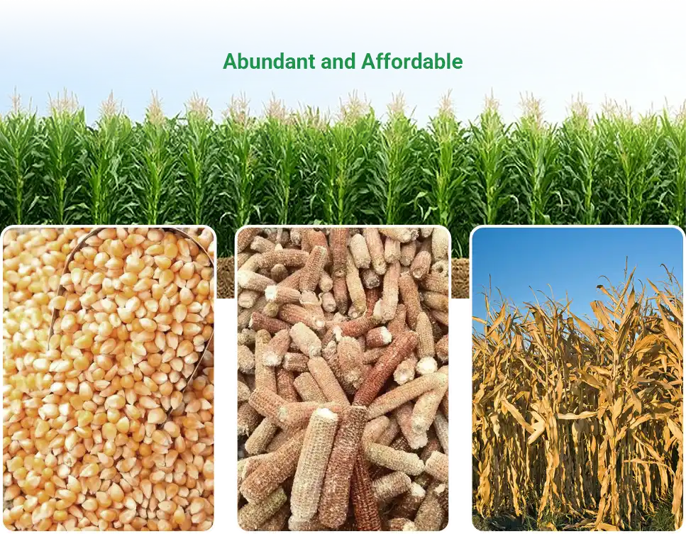 abundant and affordable