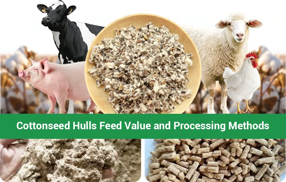 cotton hulls processing methods