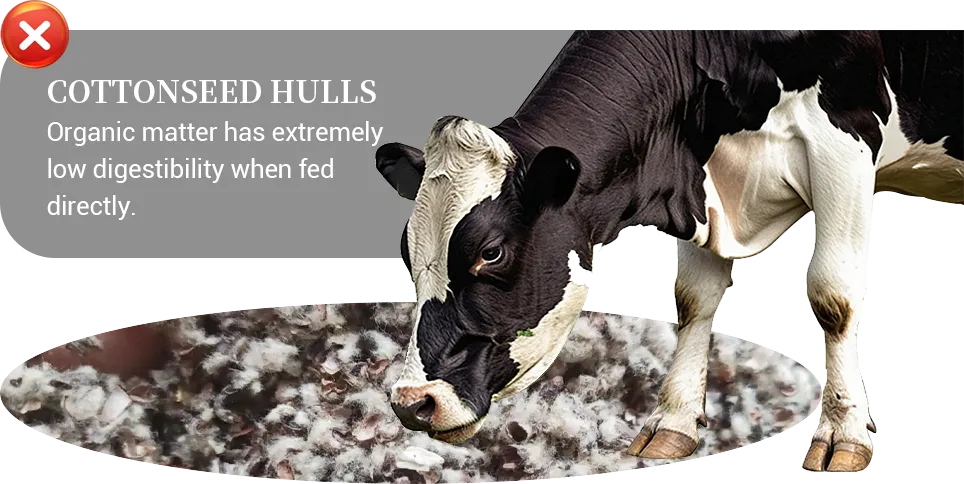 cotton seed shell high in fiber