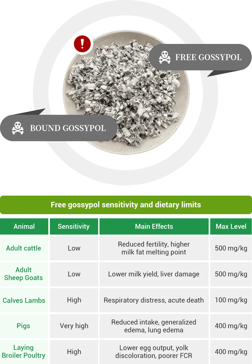 cottonseed phenol risks and limitation