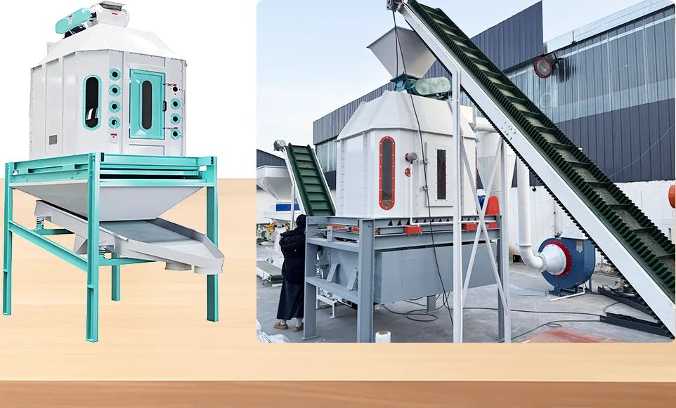 counterflow cooler and screener for pig feed line