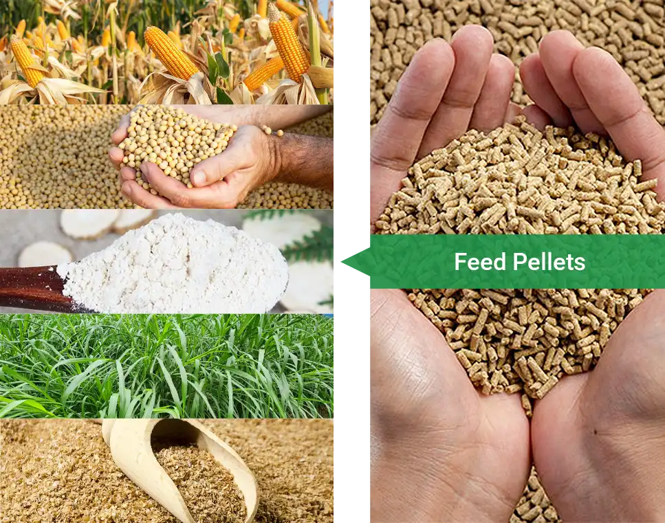 crops grown in nigeria