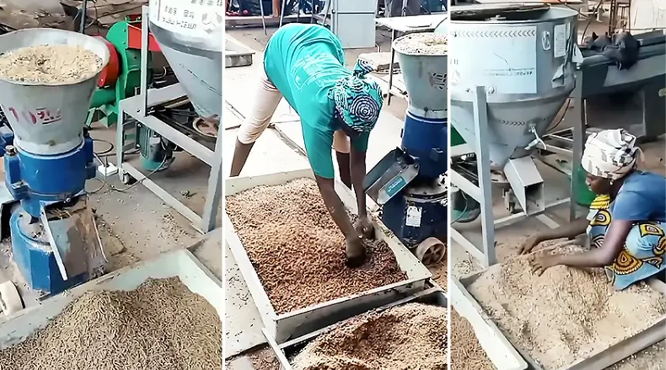 uganda customer case