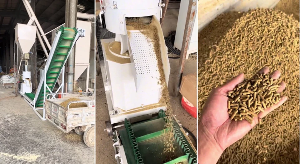 customer case of this feed line