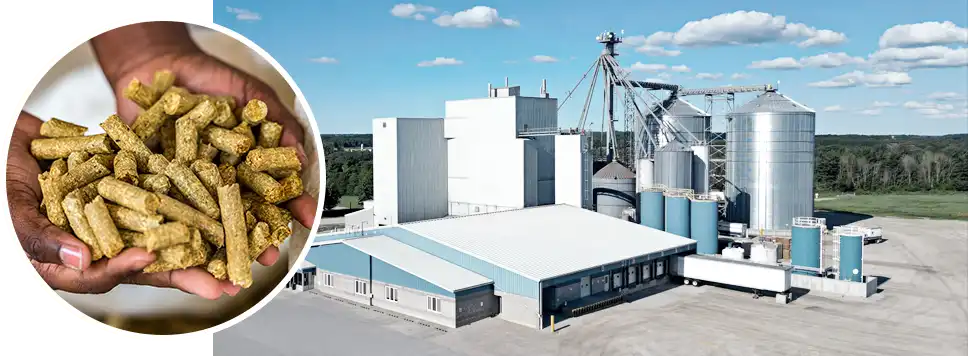 detailed cost analysis of livestock feed mills