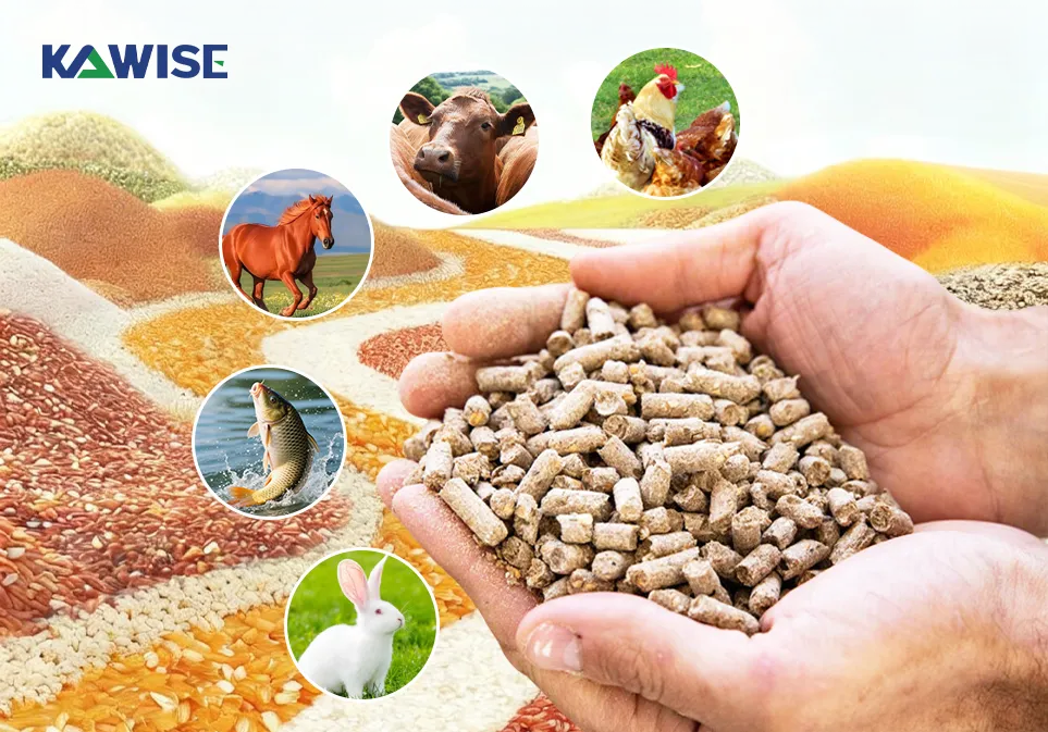 different animal feed formulation reference