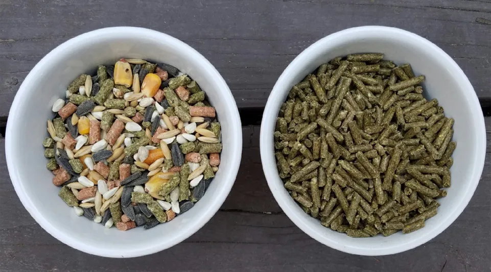 different feed forms for rabbit feeding