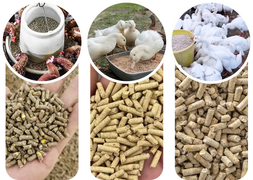 different poultry recommend pellet size