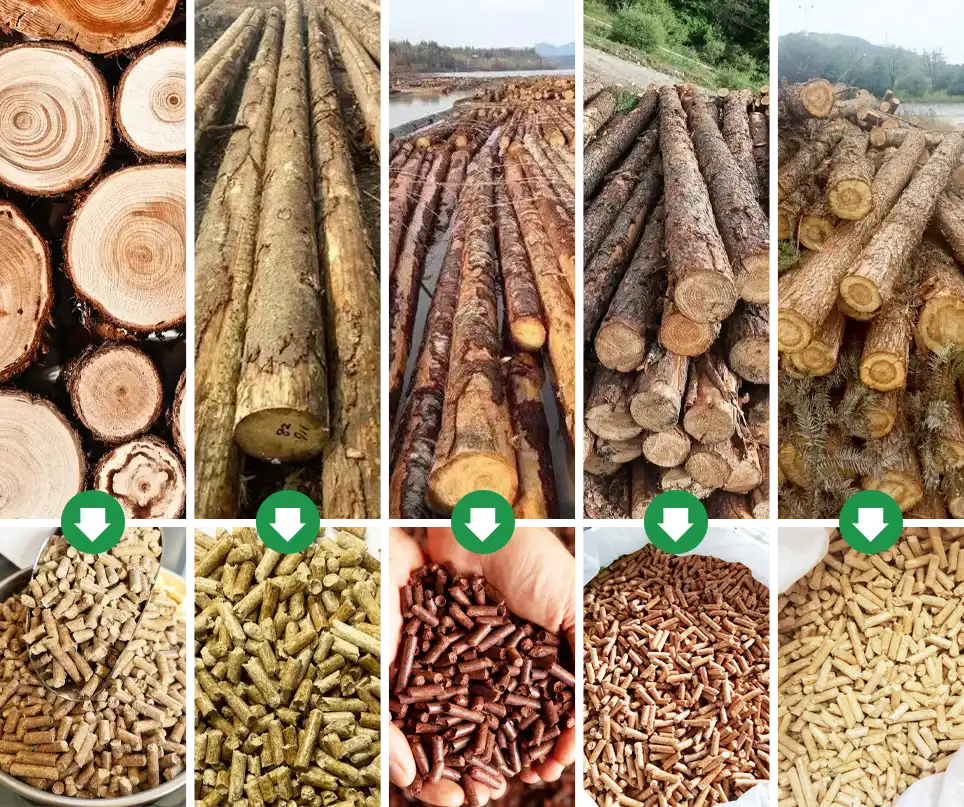 different softwood materials