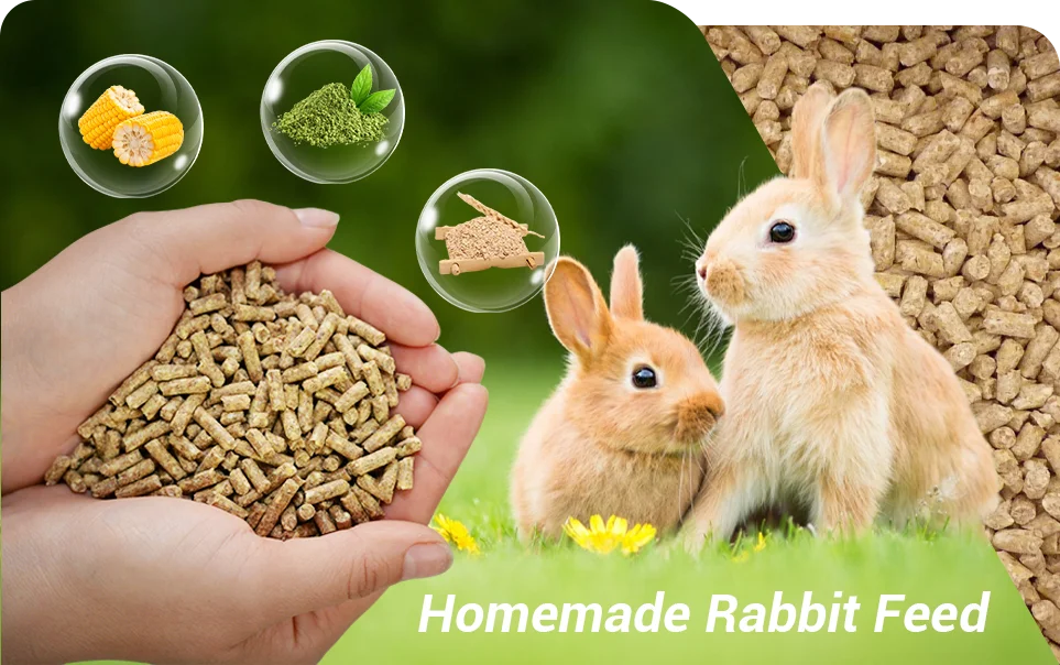 rabbit feed formula reference