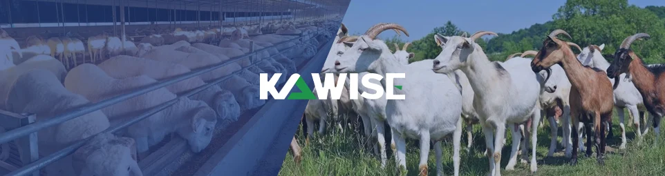 different stages of goat diets and feed formula