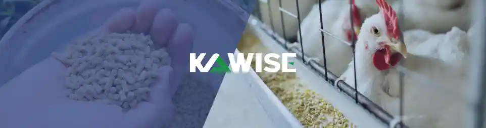 different types of chicken feed explained