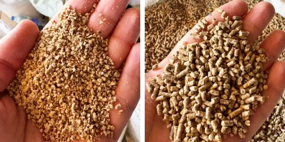 effect of feed form for poultry