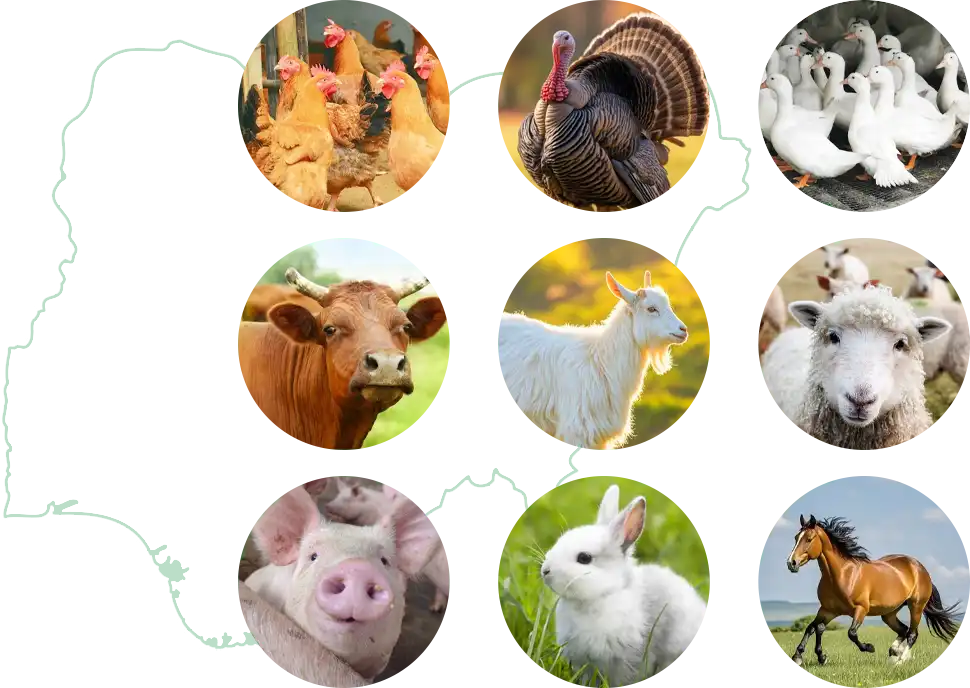 farming structure in nigeria