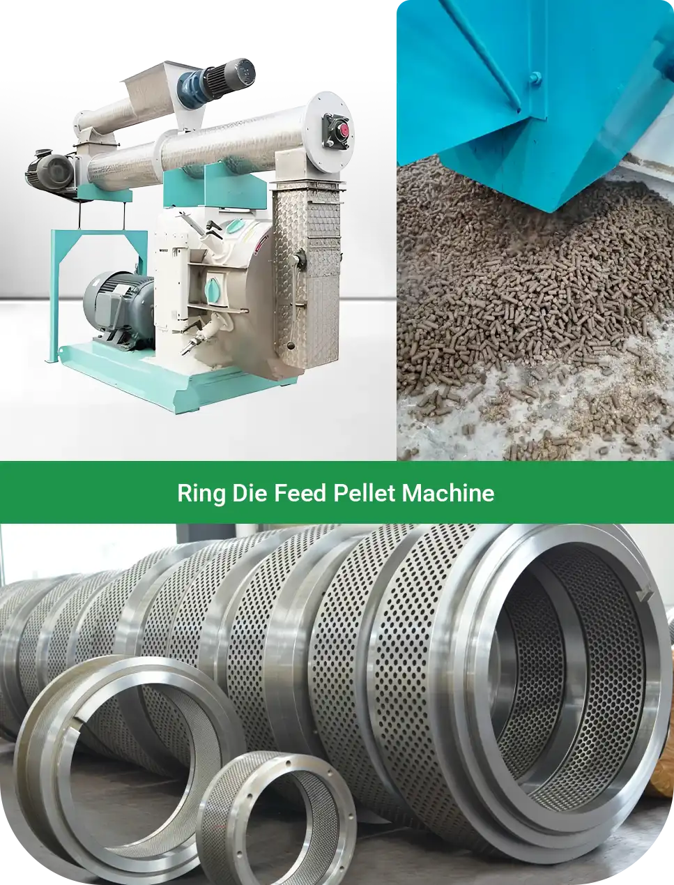 feed pellet machine for large feed processing plants