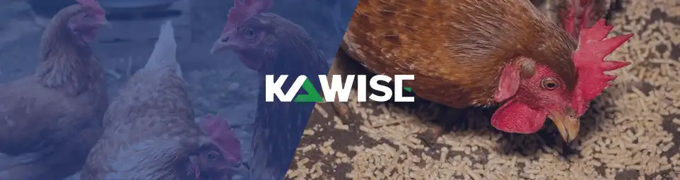 feed pellet size and its effect on poultry performance