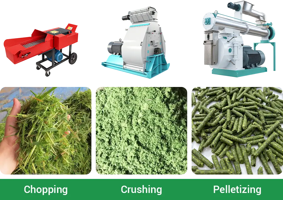 feed physical processing ways