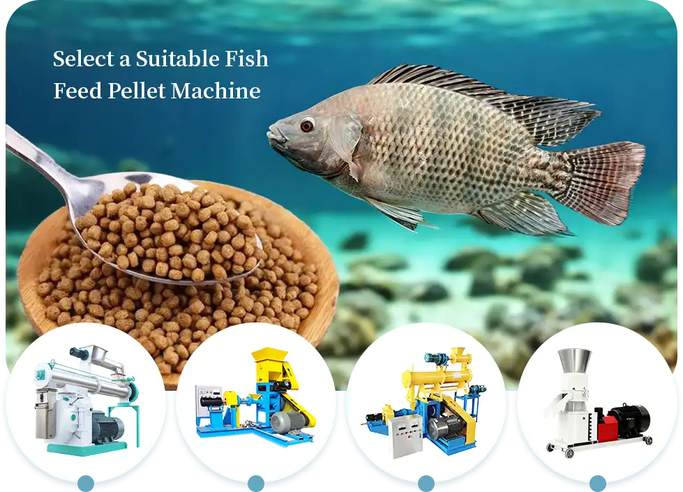 fish feed making machine selection guide