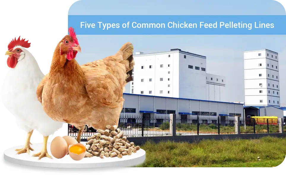 five types poultry feed production line