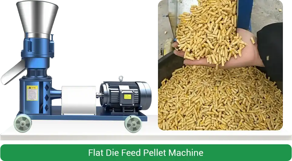 flat chicken feed pellet machine demo
