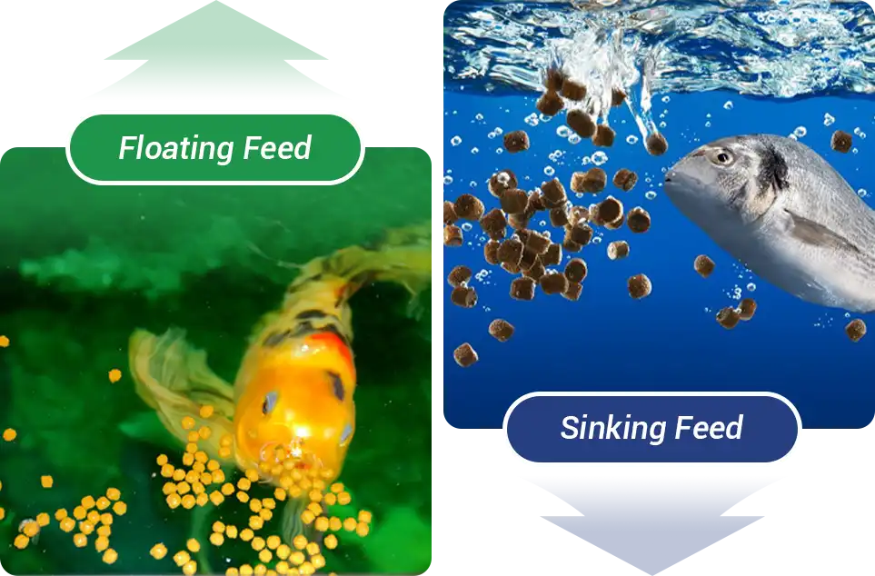floating feed or sinking fish feed difference