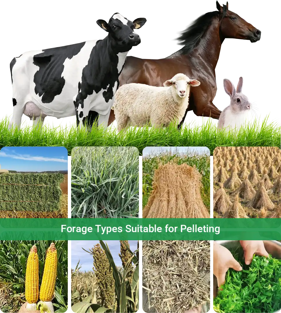 forge types suitable for pelleting