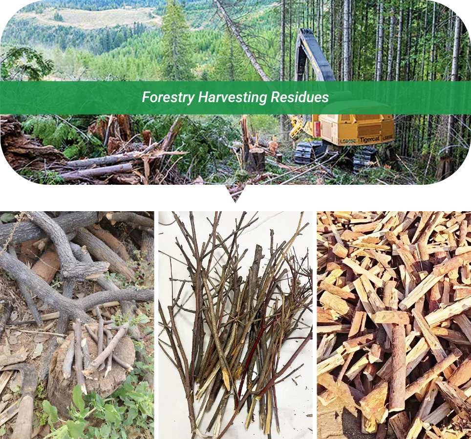 forestry logging residues
