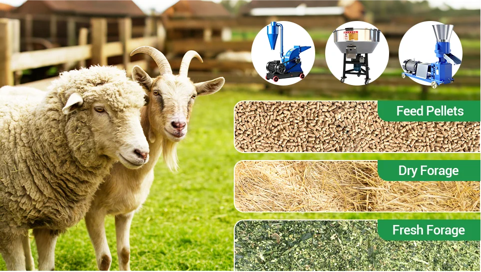goat and sheep feed processing equipment