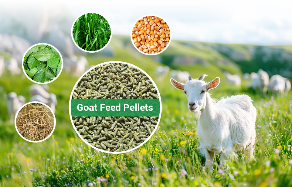 goat diets and feed formula