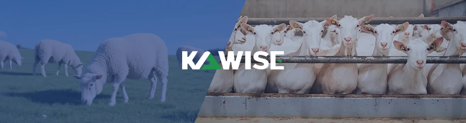 goat sheep feed nutrition difference