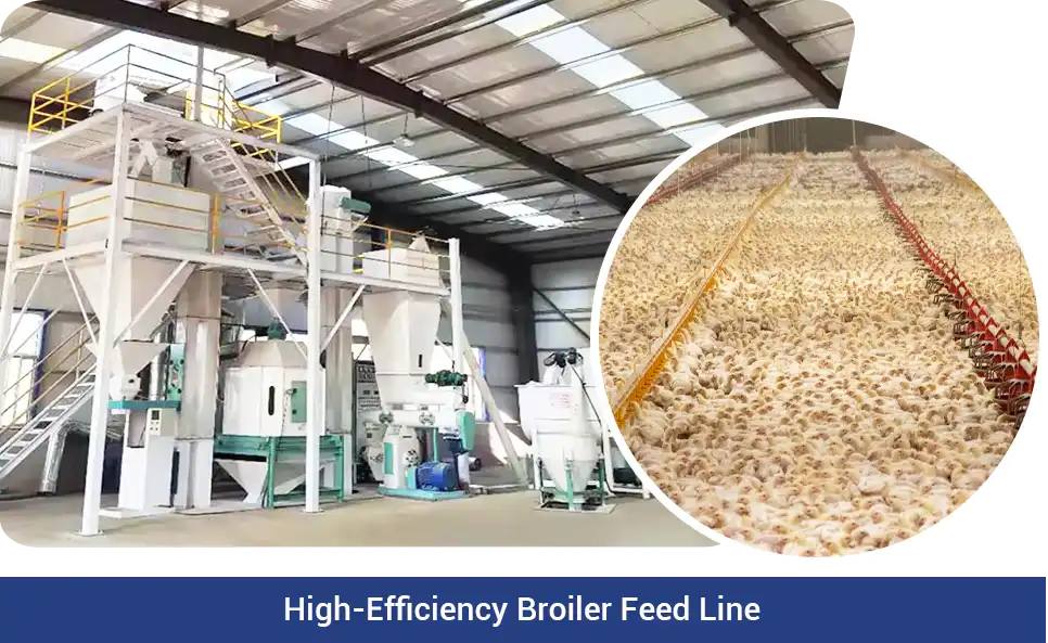 high efficiency broiler feed line