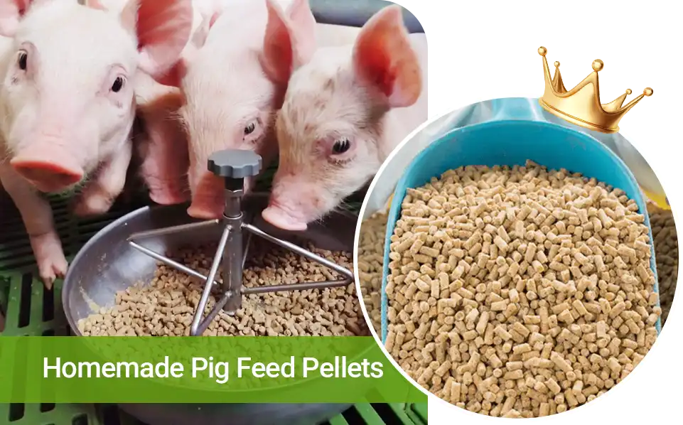 homemade pig pellets