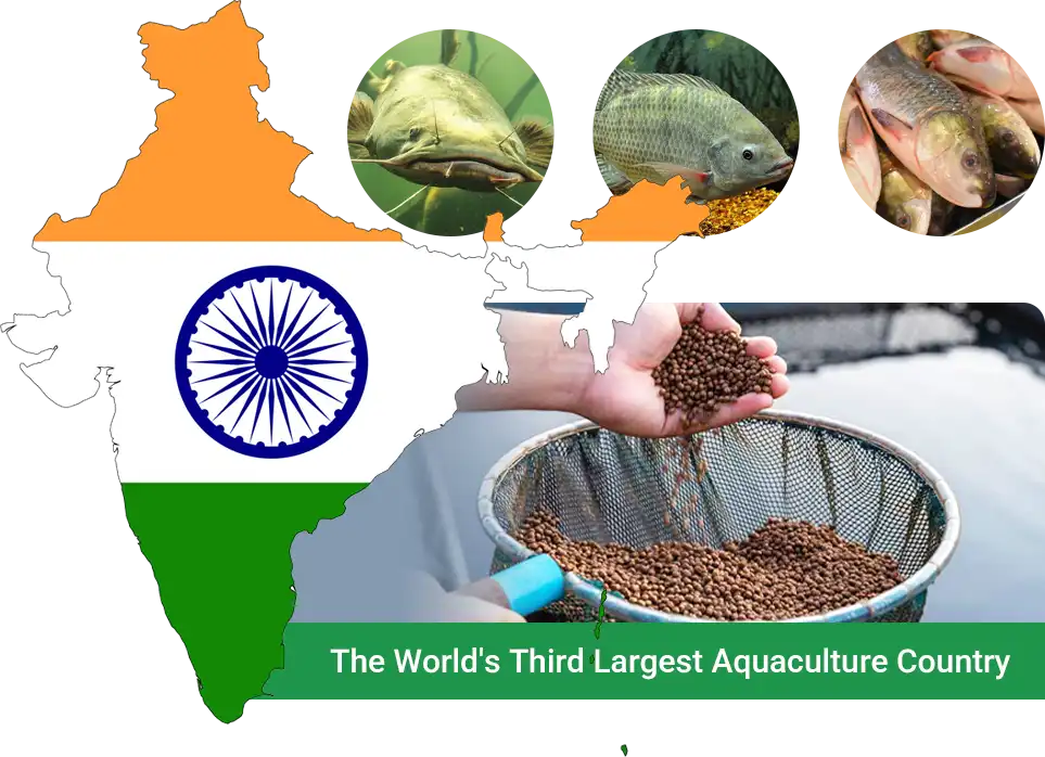india aquaculture development
