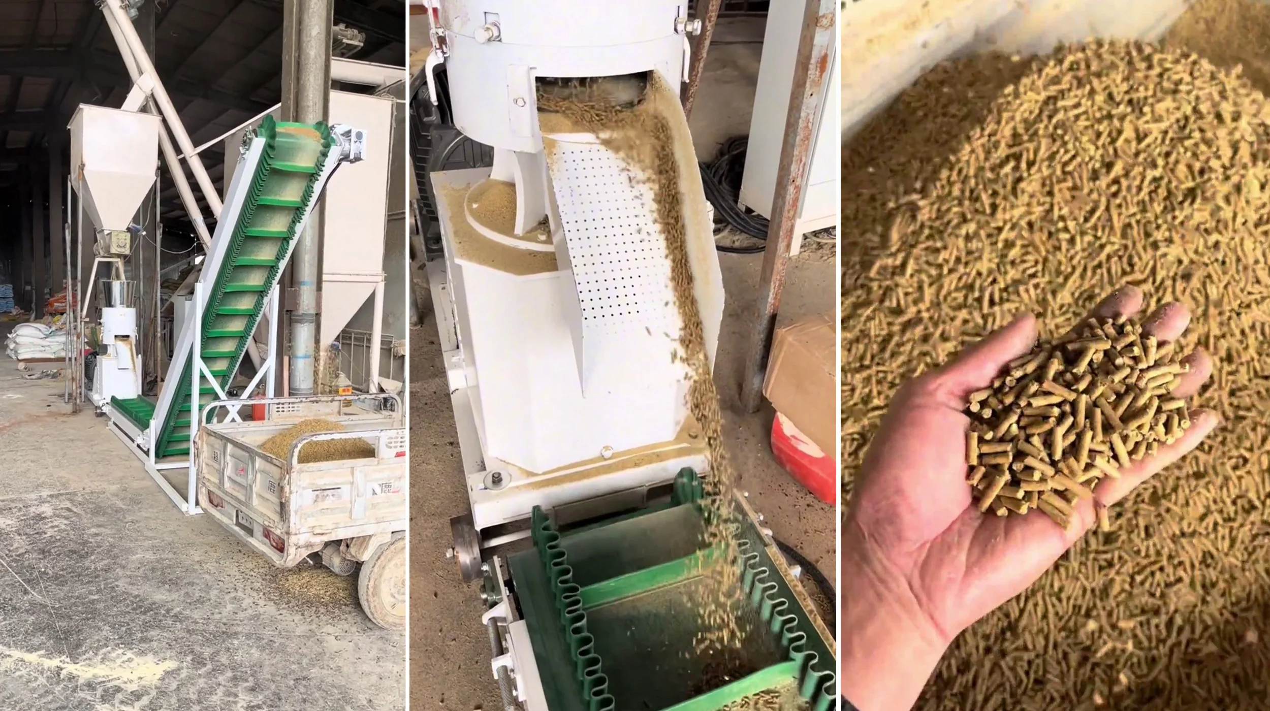 Inner Mongolia Chicken Feed Pellet Production Line