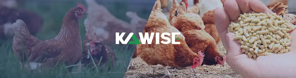 kawise chicken feed production line solution