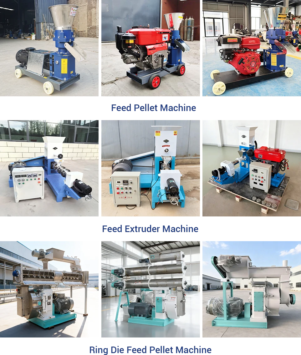 kawise different shrimp feed processing equipment