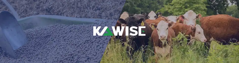 kawise helps you improve your beef cattle farming interests
