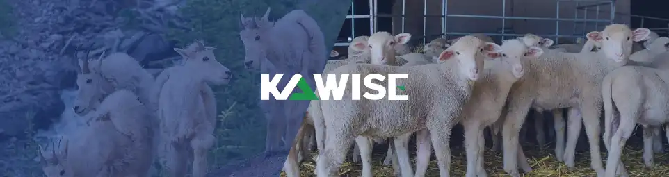 kawise sheep goat feed processing equipment