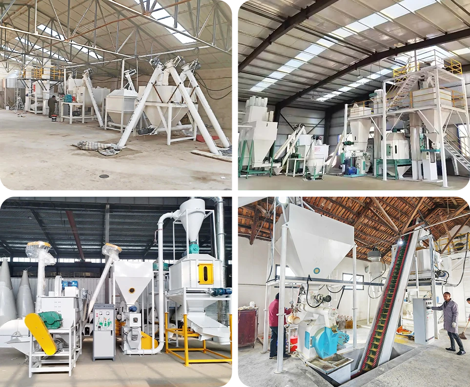 kawise swine feed production line reference