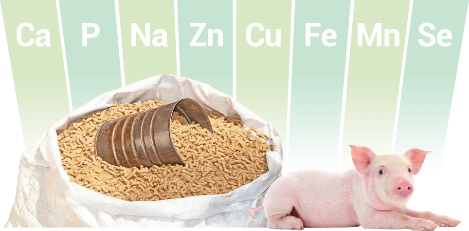 key nutritional needs for pigs