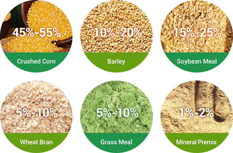 lamb weight gain stage